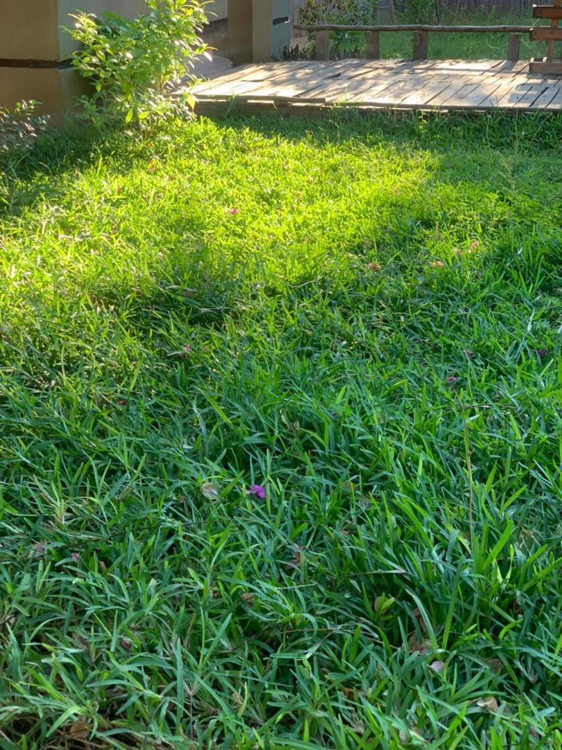 Jungle Breeze Home Stay Kasane Kültér fotó
